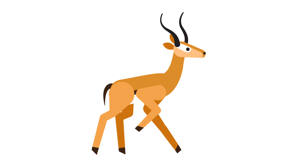 Animation GIF